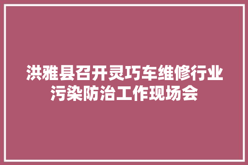 洪雅县召开灵巧车维修行业污染防治工作现场会