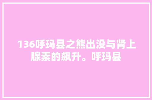 136呼玛县之熊出没与肾上腺素的飙升。呼玛县