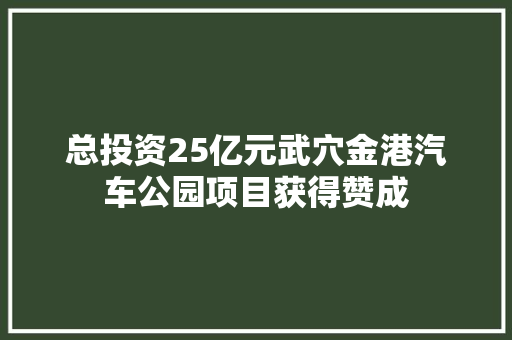 总投资25亿元武穴金港汽车公园项目获得赞成