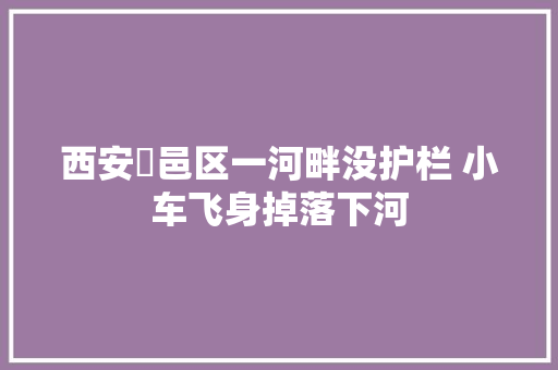 西安鄠邑区一河畔没护栏 小车飞身掉落下河