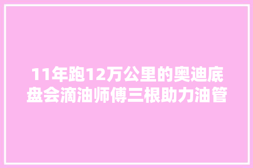 11年跑12万公里的奥迪底盘会滴油师傅三根助力油管该换了