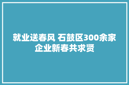 就业送春风 石鼓区300余家企业新春共求贤