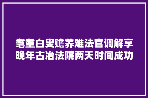 耄耋白叟赡养难法官调解享晚年古冶法院两天时间成功调解两起赡养轇轕 汽车知识