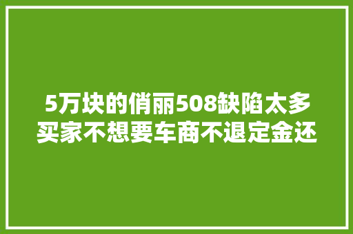 5万块的俏丽508缺陷太多买家不想要车商不退定金还把人拉黑