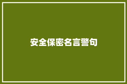 安全保密名言警句
