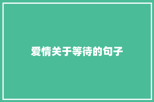 爱情关于等待的句子