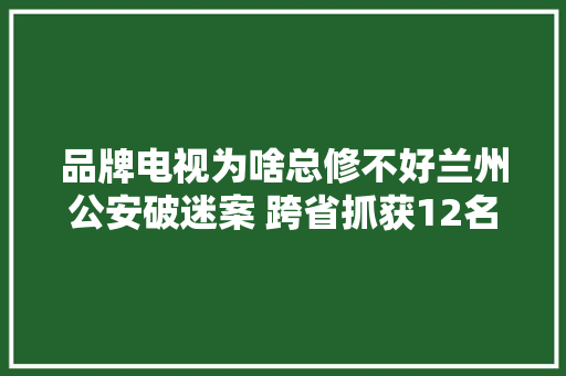 品牌电视为啥总修不好兰州公安破迷案 跨省抓获12名嫌犯 查封关停17家售假网店