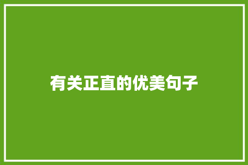 有关正直的优美句子