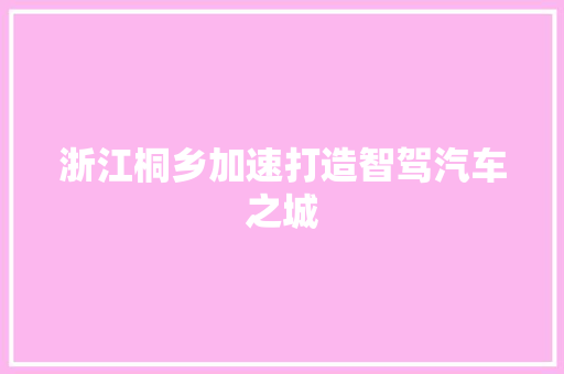 浙江桐乡加速打造智驾汽车之城
