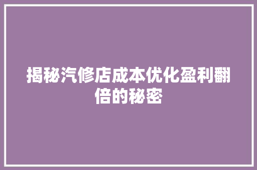 揭秘汽修店成本优化盈利翻倍的秘密
