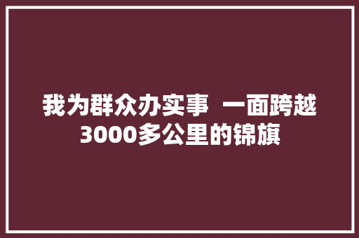 我为群众办实事  一面跨越3000多公里的锦旗