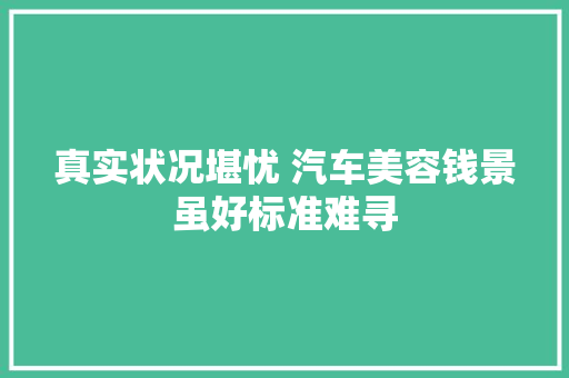 真实状况堪忧 汽车美容钱景虽好标准难寻
