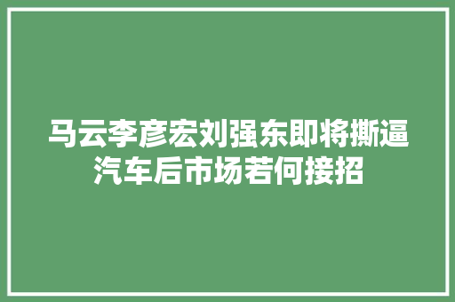 马云李彦宏刘强东即将撕逼汽车后市场若何接招