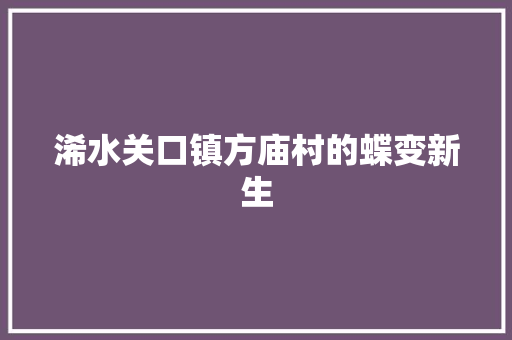 浠水关口镇方庙村的蝶变新生 汽车知识