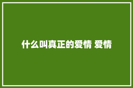 什么叫真正的爱情 爱情 休闲娱乐