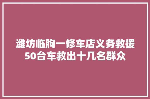 潍坊临朐一修车店义务救援50台车救出十几名群众