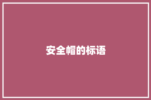 安全帽的标语