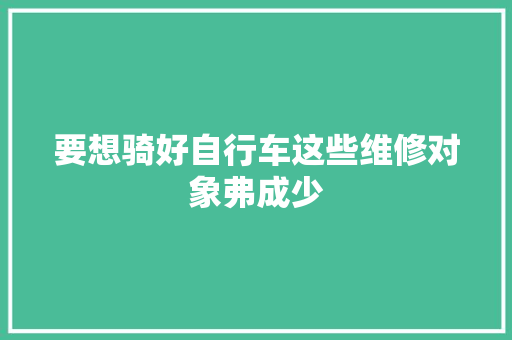要想骑好自行车这些维修对象弗成少