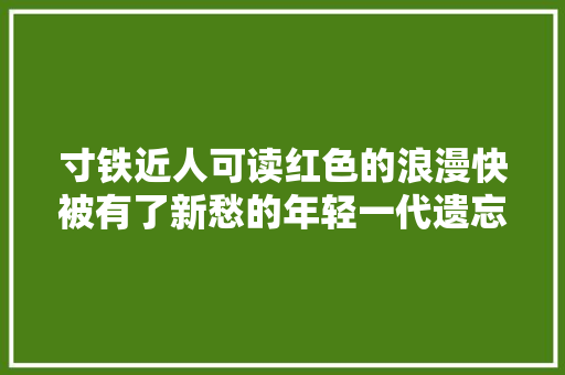 寸铁近人可读红色的浪漫快被有了新愁的年轻一代遗忘