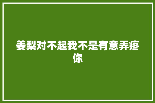 姜梨对不起我不是有意弄疼你