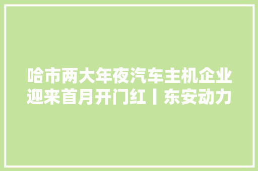 哈市两大年夜汽车主机企业迎来首月开门红丨东安动力产销发动机超40东安汽发发卖收入同比提高1834