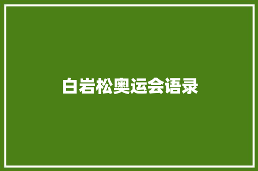 白岩松奥运会语录