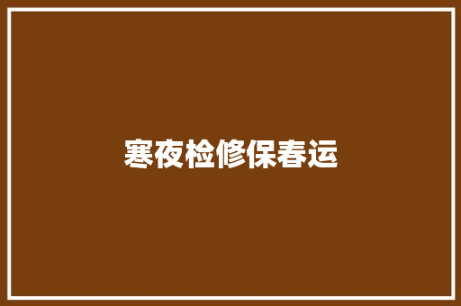 寒夜检修保春运
