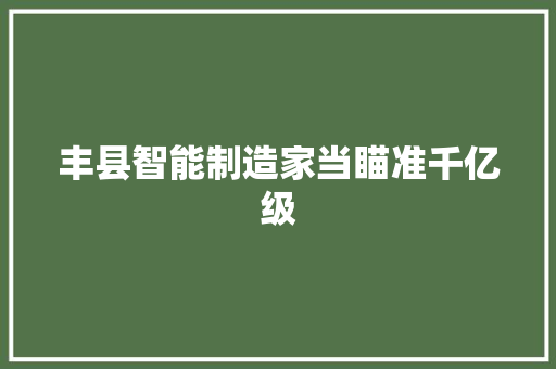 丰县智能制造家当瞄准千亿级