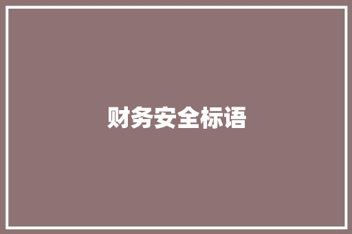 财务安全标语