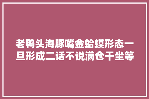 老鸭头海豚嘴金蛤蟆形态一旦形成二话不说满仓干坐等主力拉升熟手在行靠此曾一年翻10倍