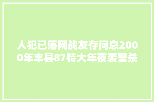 人犯已落网战友存问息2000年丰县87特大年夜袭警杀人案侦破始末