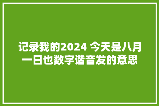 记录我的2024 今天是八月一日也数字谐音发的意思