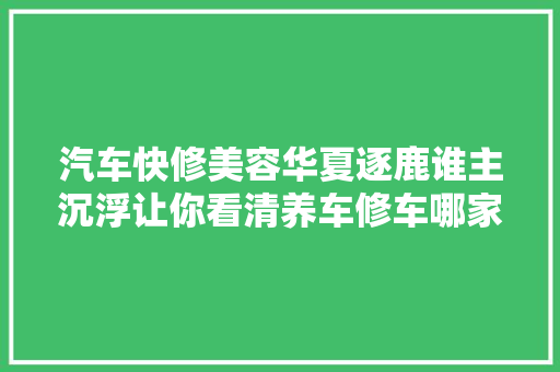 汽车快修美容华夏逐鹿谁主沉浮让你看清养车修车哪家最靠谱