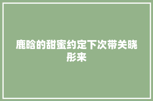 鹿晗的甜蜜约定下次带关晓彤来