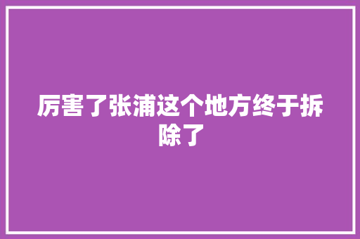 厉害了张浦这个地方终于拆除了