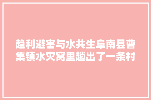 趋利避害与水共生阜南县曹集镇水灾窝里趟出了一条村落振兴路
