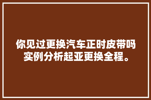 你见过更换汽车正时皮带吗实例分析起亚更换全程。