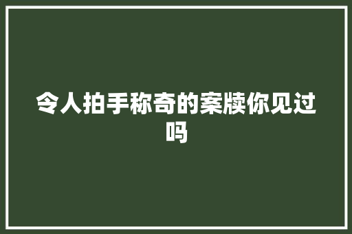 令人拍手称奇的案牍你见过吗