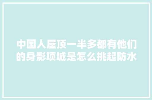 中国人屋顶一半多都有他们的身影项城是怎么挑起防水大年夜梁的
