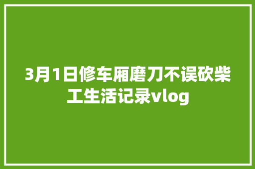 3月1日修车厢磨刀不误砍柴工生活记录vlog