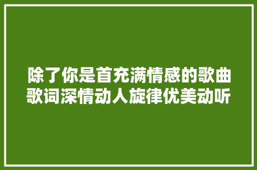 除了你是首充满情感的歌曲歌词深情动人旋律优美动听