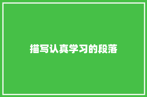 描写认真学习的段落