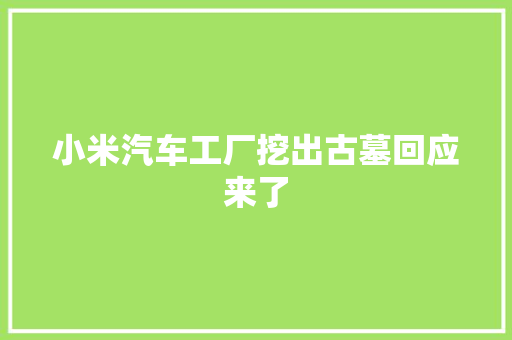 小米汽车工厂挖出古墓回应来了