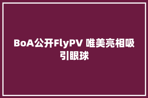 BoA公开FlyPV 唯美亮相吸引眼球