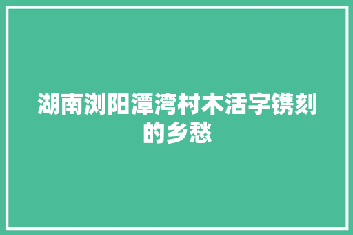 湖南浏阳潭湾村木活字镌刻的乡愁