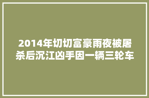2014年切切富豪雨夜被屠杀后沉江凶手因一辆三轮车袒露身份