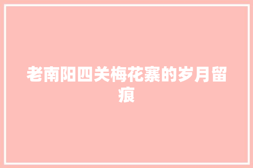 老南阳四关梅花寨的岁月留痕 汽车知识