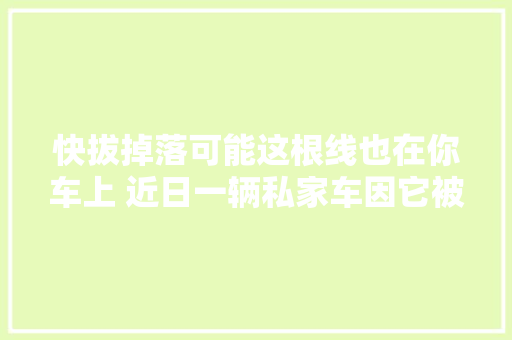 快拔掉落可能这根线也在你车上 近日一辆私家车因它被烧了