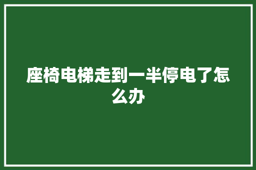 座椅电梯走到一半停电了怎么办