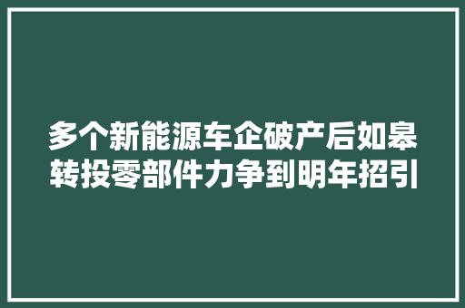 多个新能源车企破产后如皋转投零部件力争到明年招引15家亿元企业